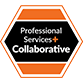 ps+ collaborative logo